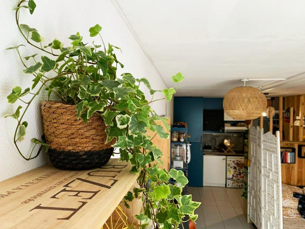 Studio Avec Terrasse Tout Pres Du Vieux Port La Rochelle  Exterior photo